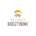 logo AD Development
