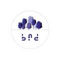 logo Blue Forest Development