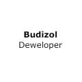 logo Budizol Deweloper