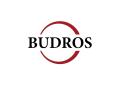 logo dewelopera Budros