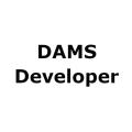 logo DAMS Developer