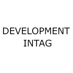 Logo dewelopera DEVELOPMENT Intag