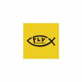 logo Fly Development