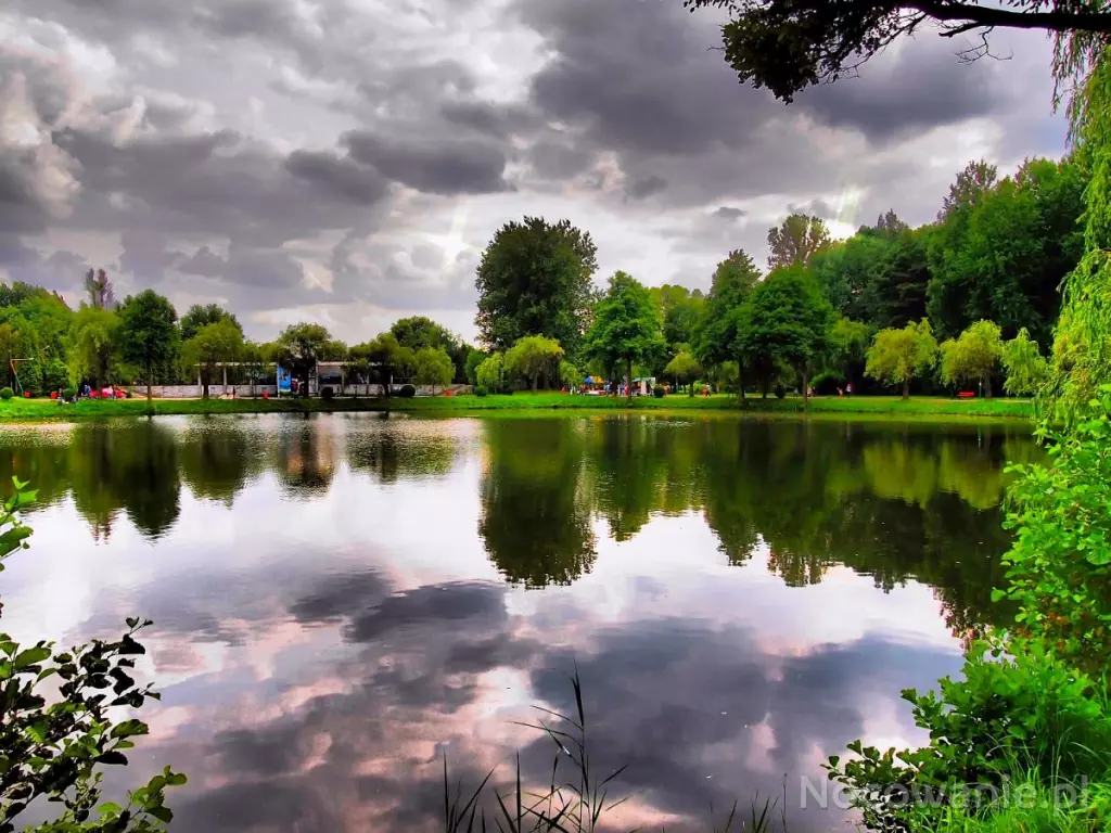 Park w Kazimierzu Górniczym - Koszalin. Autor: A.Hajdas, https://zdjecia.nocowanie.pl/park-w-kazimierzu-gorniczym.html