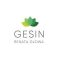 logo GESIN Deweloper