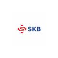 logo Grupa SKB