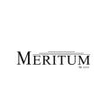 logo Meritum Investments