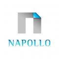 logo dewelopera NAPOLLO