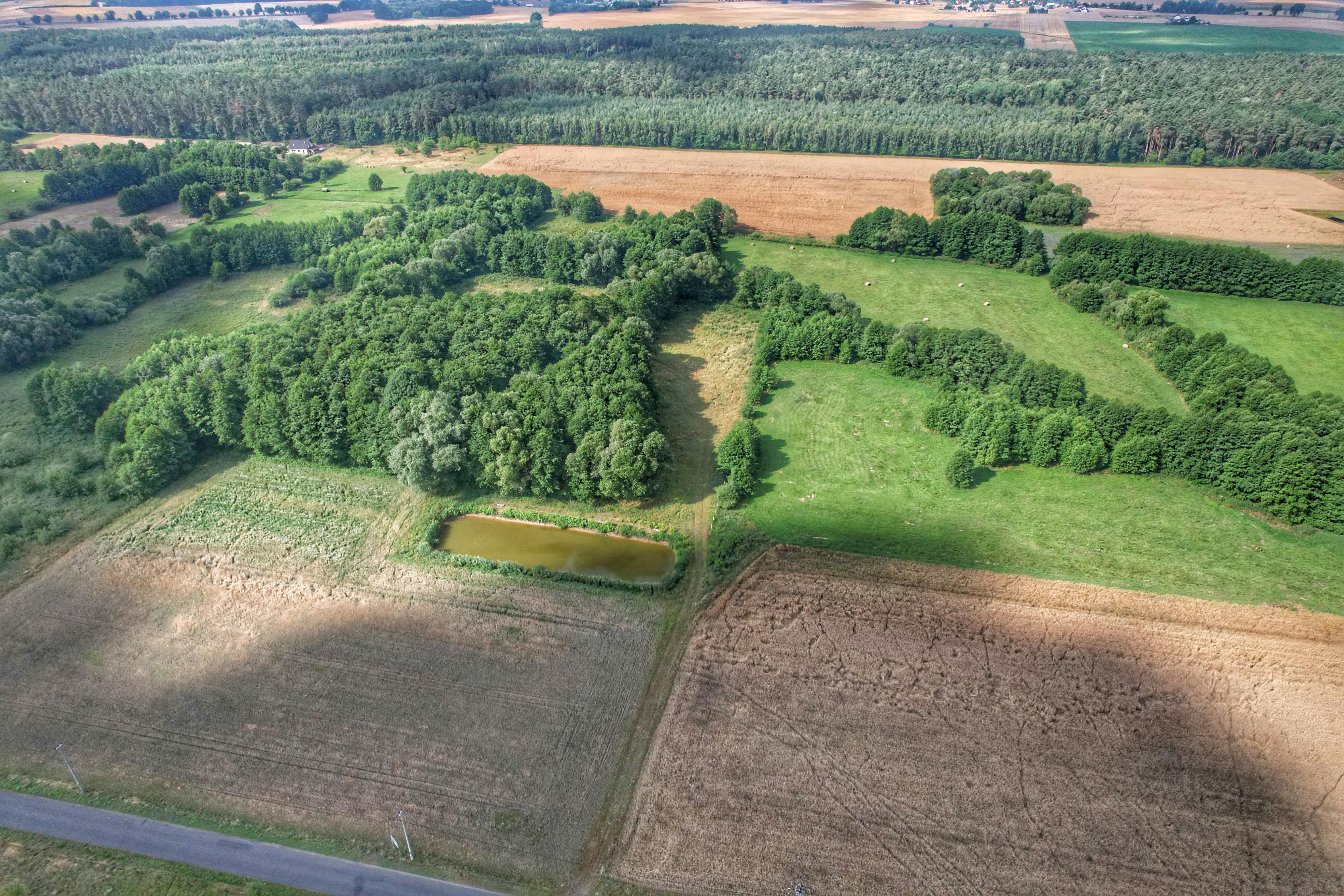<p>Sprawdź, kiedy rzeczoznawca stosuje ekstrapolację w wycenie działki i jak uwzględnia nietypowe cechy rynkowe nieruchomości.</p>