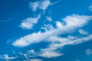 article background image