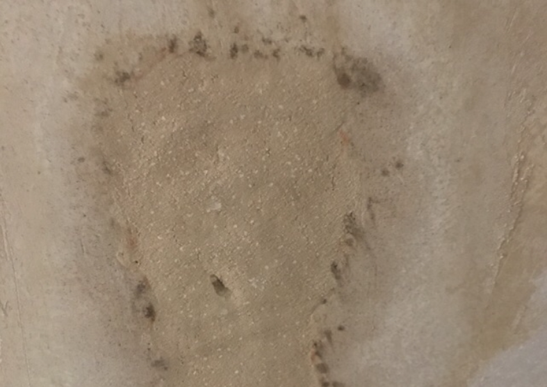 Zbliżenie na fragment ściany łazienkowej, na którym widać grzyba spowodowanego wilgocią. Dlatego warto pamiętać też o dokładnym sprawdzeniu ścian podczas odbioru technicznego.