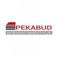 logo Pekabud-Morasko Inwestycje