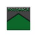 logo Polonica Deweloper