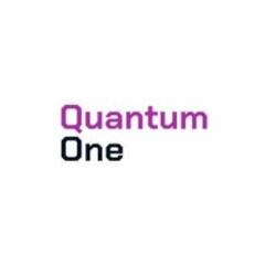 Logo dewelopera Quantum One