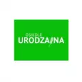 zdjęcie do W dzisiejszym artykule prezentujemy informacje dotyczące dewelopera działającego pod nazwą R.S. DEWELOPER.