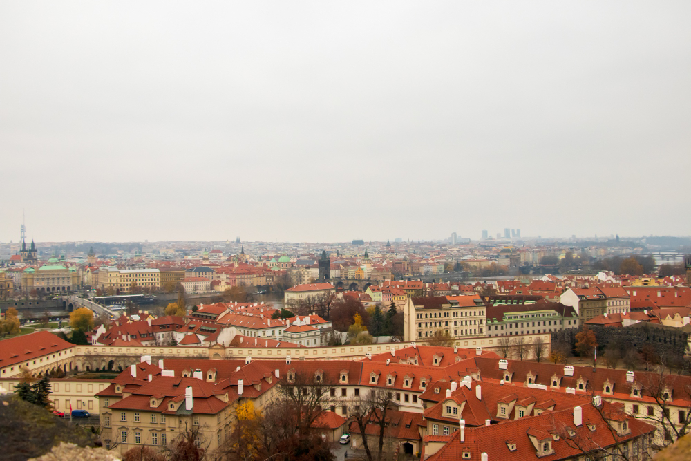 <p>Przygotowaliśmy kompleksowy ranking firm oferujących operaty szacunkowe w Gliwicach, które ocenialiśmy według różnych kategorii. Zapraszamy do lektury. </p>