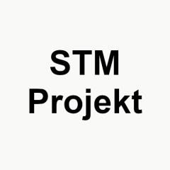 Logo dewelopera STM Projekt