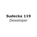 logo Sudecka 119 Deweloper