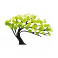 logo dewelopera Tree Development