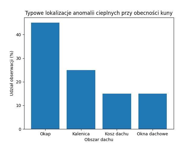 Gdzie jest kuna w domu?